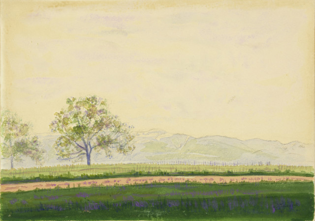 Albert Trachsel : Paysage avec deux arbres et le Salève, Um 1905-1910 ...